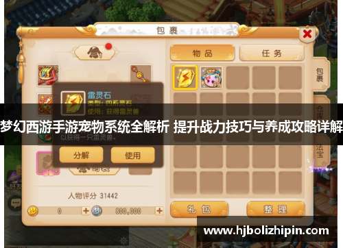 梦幻西游手游宠物系统全解析 提升战力技巧与养成攻略详解