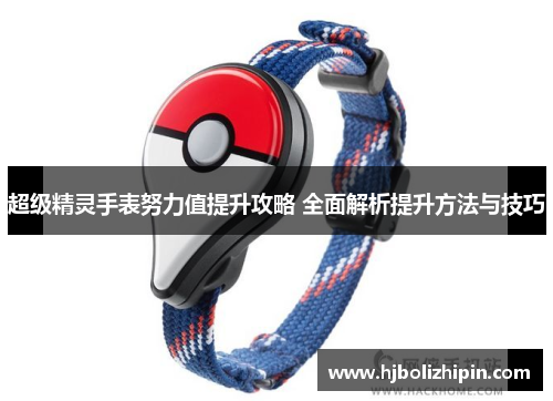 超级精灵手表努力值提升攻略 全面解析提升方法与技巧
