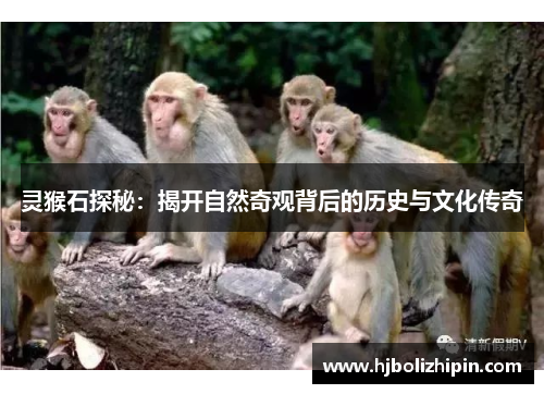 灵猴石探秘：揭开自然奇观背后的历史与文化传奇