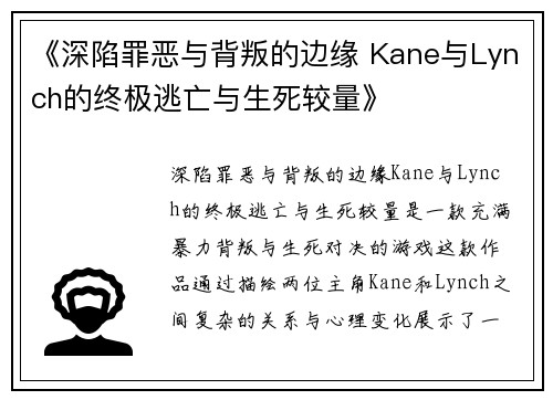 《深陷罪恶与背叛的边缘 Kane与Lynch的终极逃亡与生死较量》