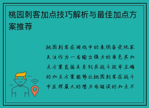 桃园刺客加点技巧解析与最佳加点方案推荐